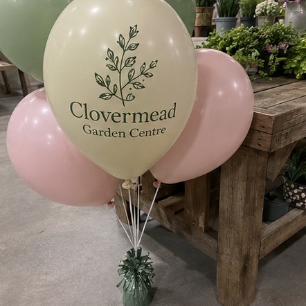 Customized balloons for hotels, venues and restaurants